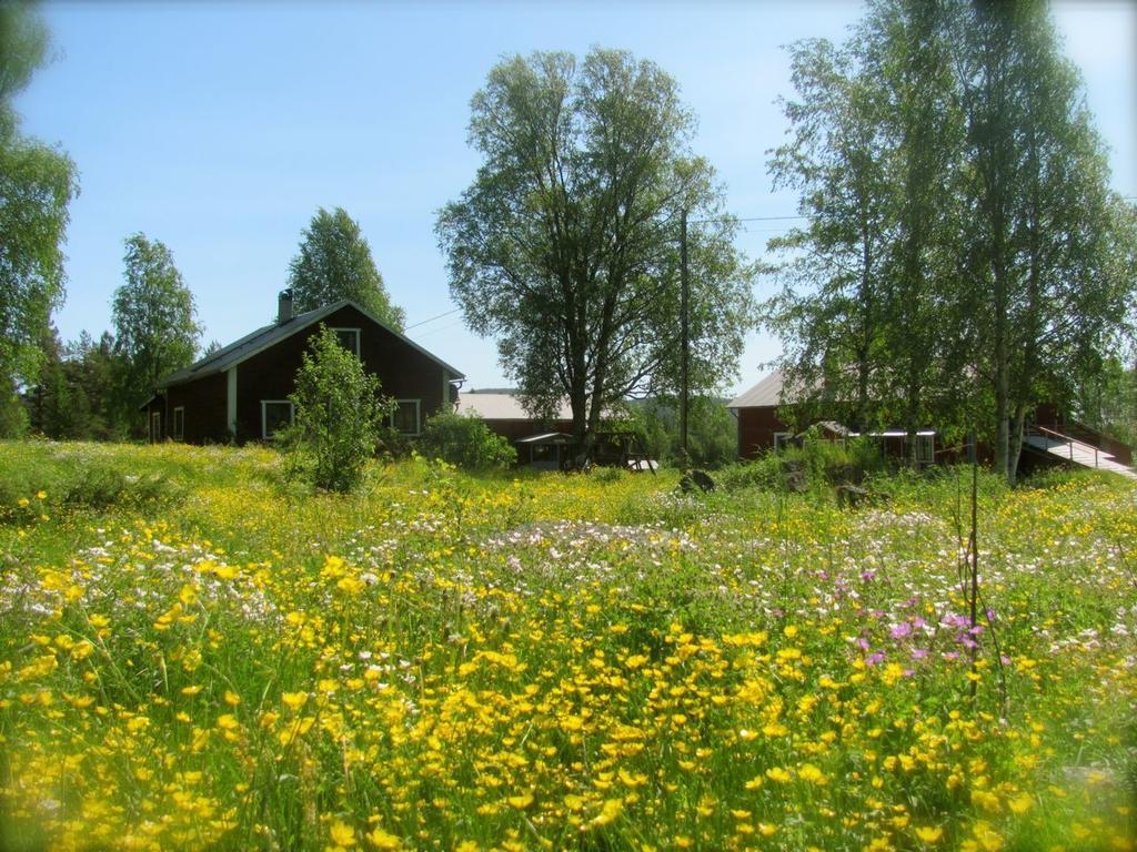 Ellis Garden Guest House Vemhån Exterior foto